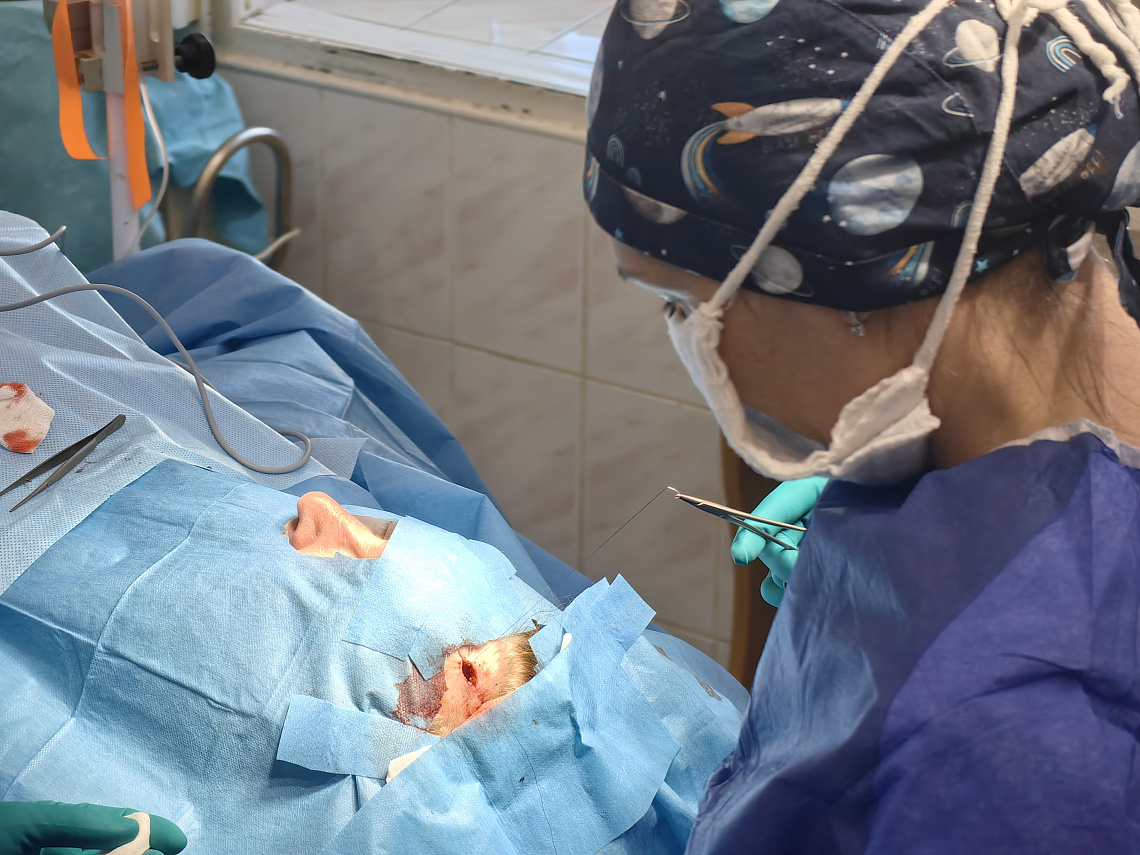 Свыше 60 операций по удалению опухолей немеланомного рака кожи выполнено в этом году в рамках ОМС в Университетской клинике ПИМУ